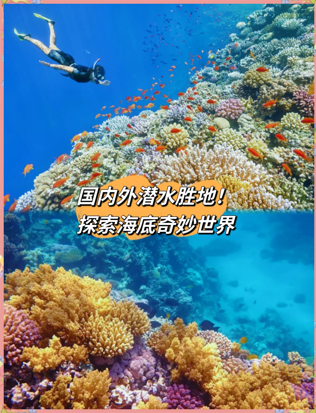 关于海底潜水深探，探索神秘的海底世界宝藏的信息