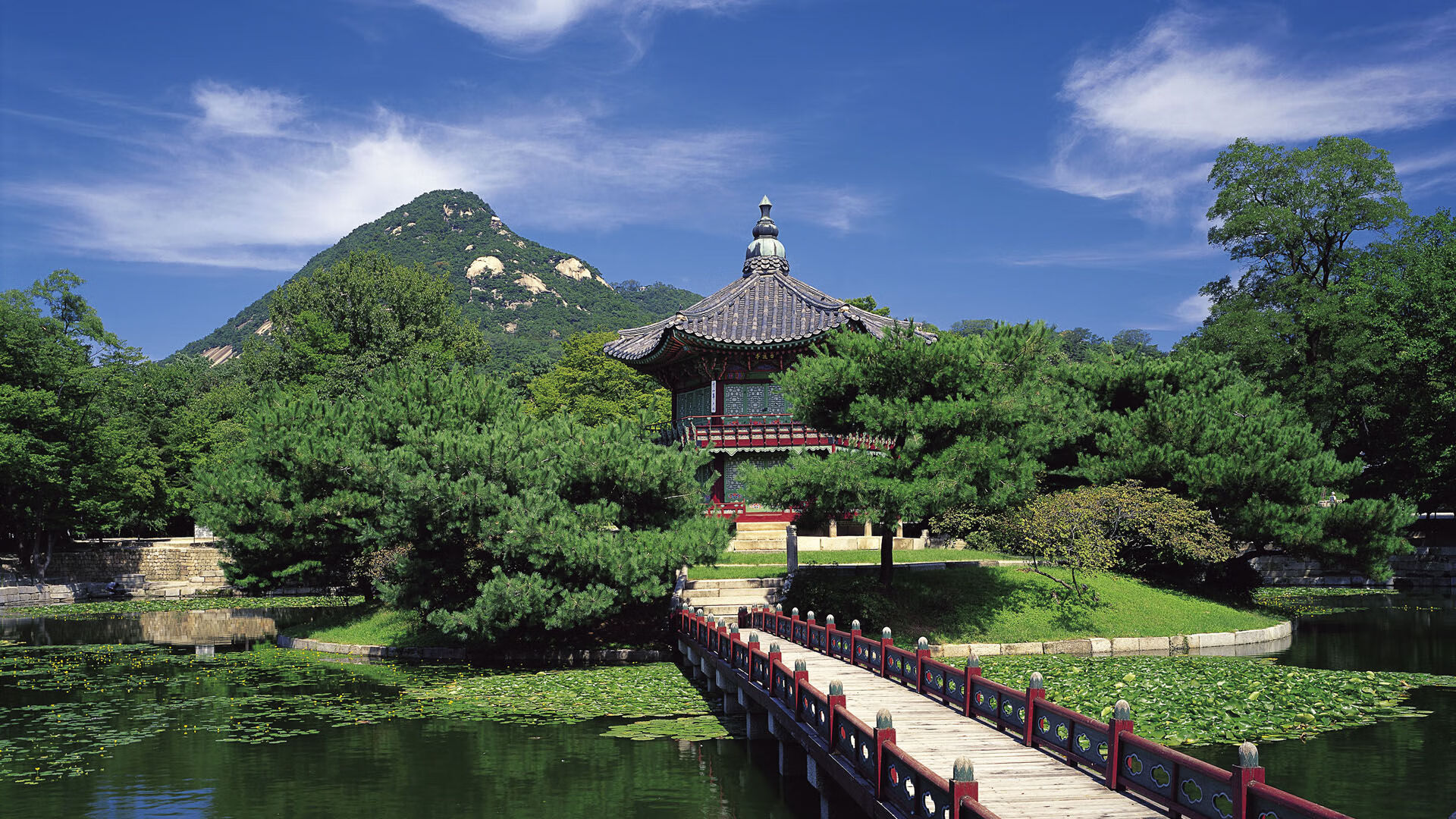 波波维奇决赛表现超出预期，波波维奇胜场最新2021