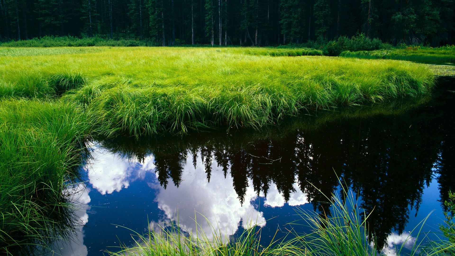 ac米兰体育官网-赛会官宣全新吉祥物设计，文化元素引热议，吉祥物设计比赛2021