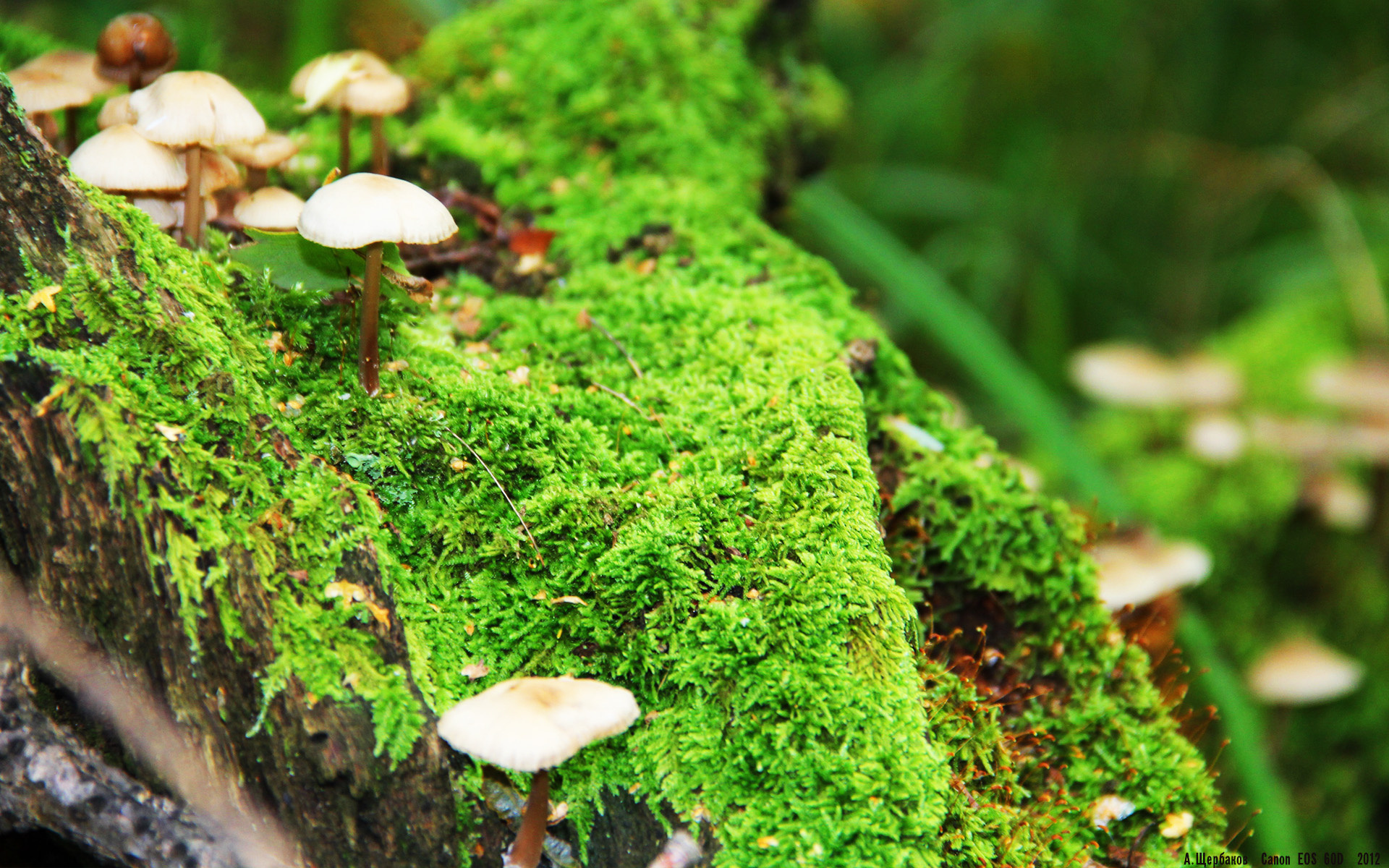 米兰体育APP官网-青训基地注重科技应用提升训练精准性和安全性，青训基地是什么