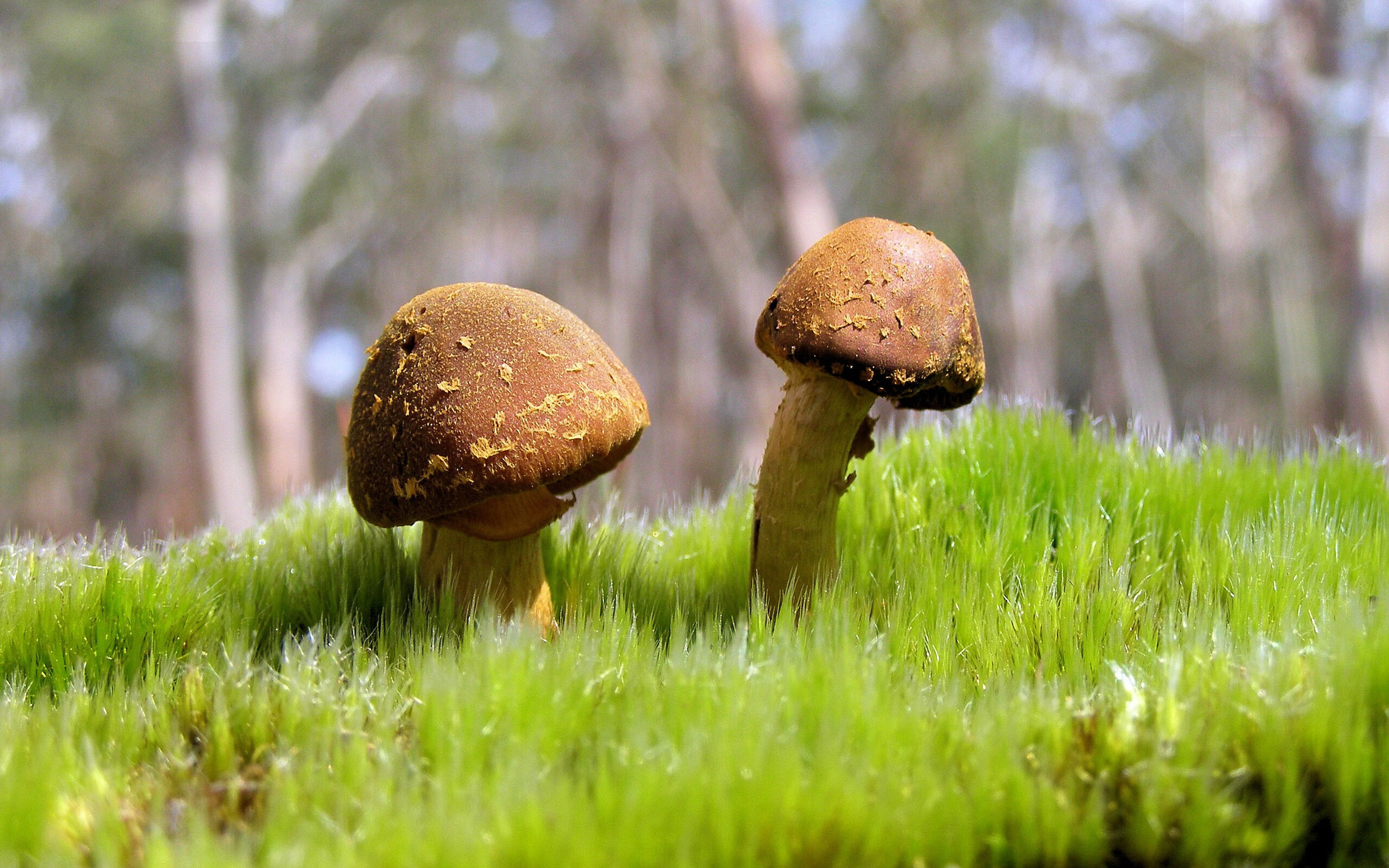 魔术教练强化基本功训练提升球员稳定性，nba魔术教练