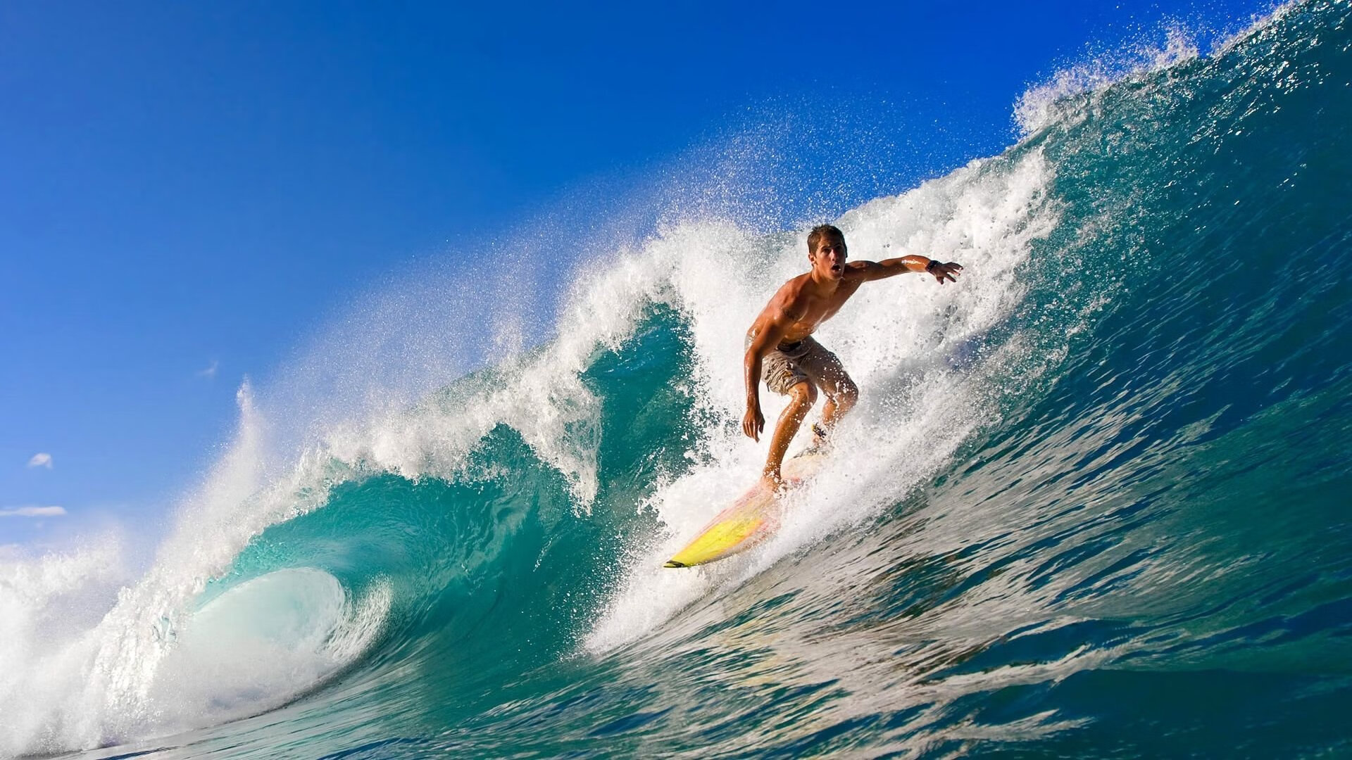 米兰体育赛事-电竞明星的多元转型：从游戏到综艺、影视多面开花，电竞明星是什么意思